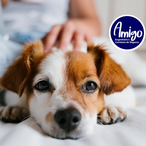 seguro pet PETLOVE